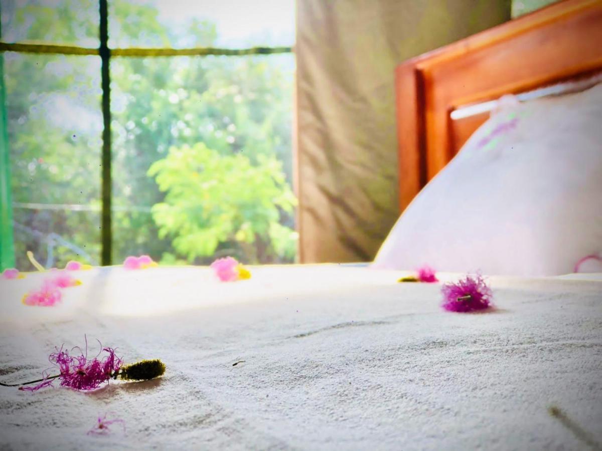 Hotel Eden Yala Exteriér fotografie
