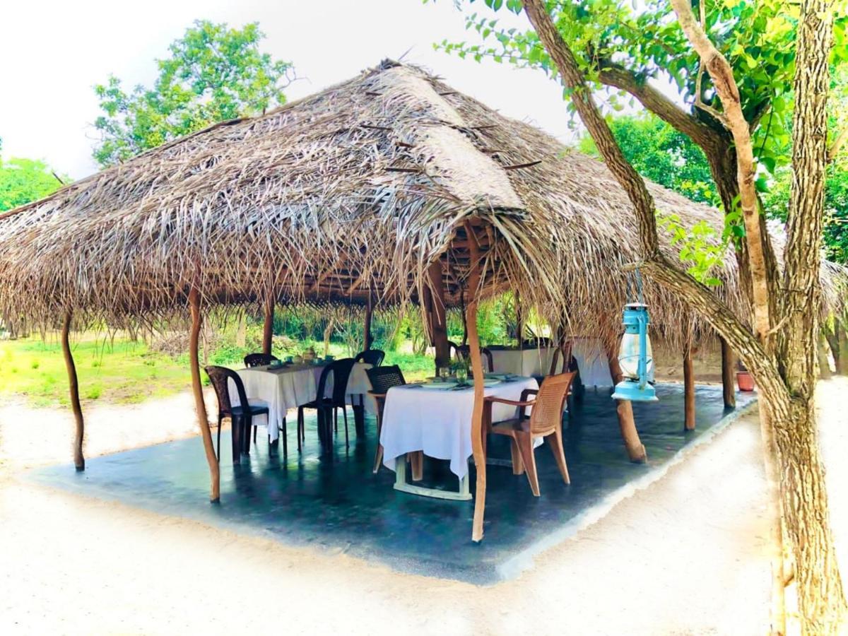 Hotel Eden Yala Exteriér fotografie
