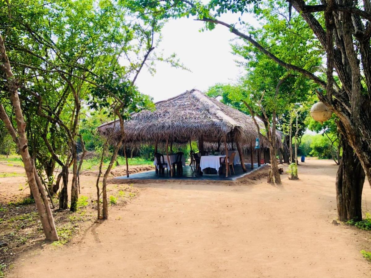 Hotel Eden Yala Exteriér fotografie