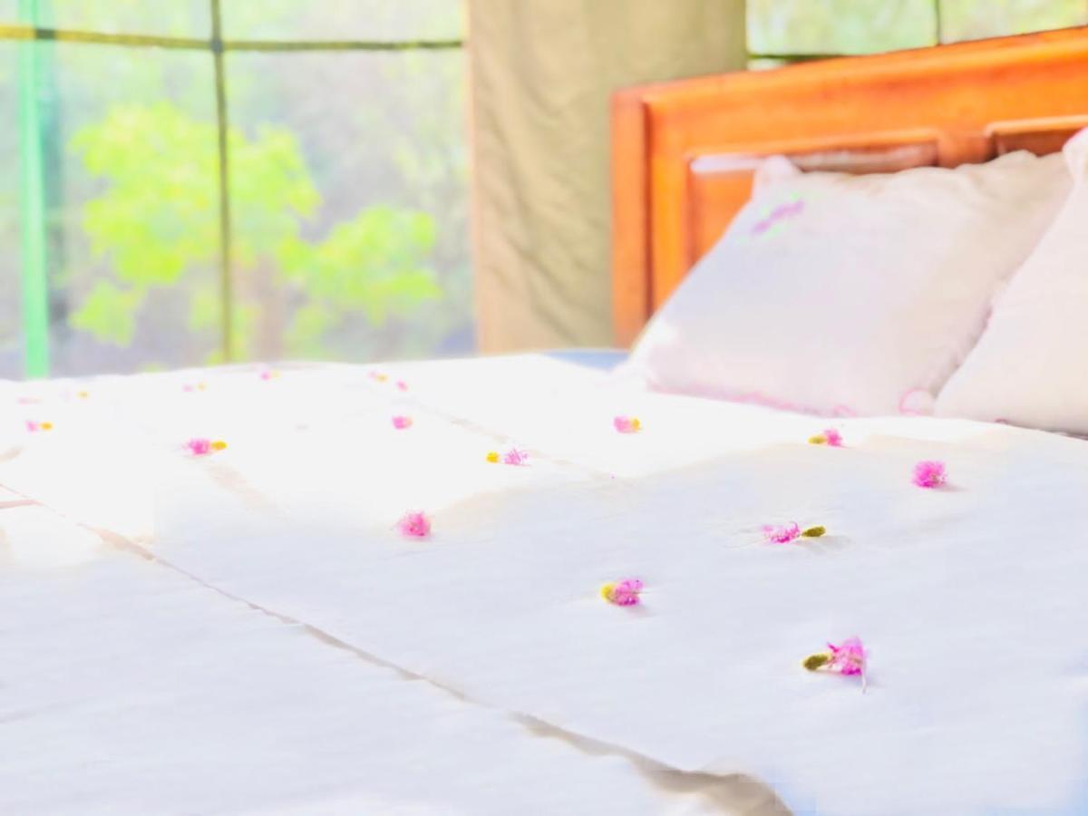 Hotel Eden Yala Exteriér fotografie