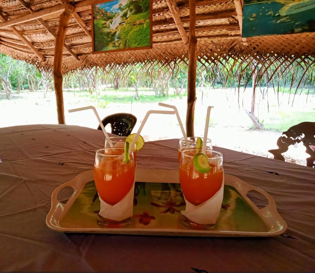Hotel Eden Yala Exteriér fotografie