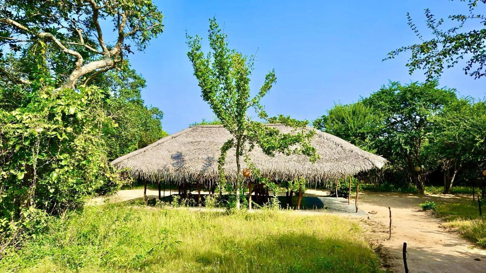Hotel Eden Yala Exteriér fotografie